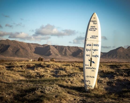 Surfboard Maintenance and Repair